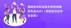 海南软件职业技术学院有哪些专业2025（学院及对应专业目录）