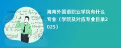 海南外国语职业学院有什么专业(学院及对应专业目录2025)