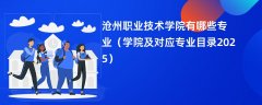 沧州职业技术学院有哪些专业(学院及对应专业目录2025)