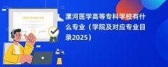 漯河医学高等专科学校有什么专业(学院及对应专业目录2025)