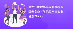 黑龙江护理高等专科学校有哪些专业(学院及对应专业目录2025)