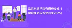 武汉东湖学院有哪些专业(学院及对应专业目录2025)