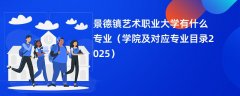 景德镇艺术职业大学有什么专业(学院及对应专业目录2025)