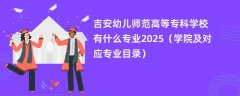 吉安幼儿师范高等专科学校有什么专业2025(学院及对应专业目录)