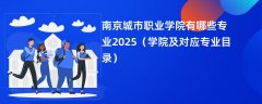 南京城市职业学院有哪些专业2025(学院及对应专业目录)