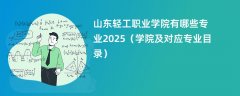 山东轻工职业学院有哪些专业2025(学院及对应专业目录)