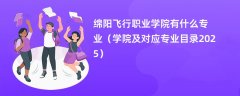 绵阳飞行职业学院有什么专业(学院及对应专业目录2025)
