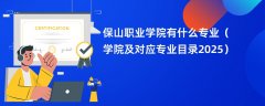 保山职业学院有什么专业(学院及对应专业目录2025)
