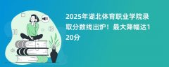 2025年湖北体育职业学院录取分数线出炉!最大降幅达120分