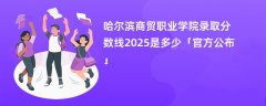 哈尔滨商贸职业学院录取分数线2025是多少「官方公布」
