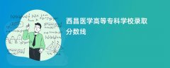 2026西昌医学高等专科学校录取分数线是多少分(今年最低录取分预估)