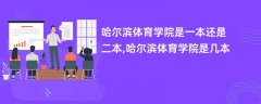 哈尔滨体育学院是一本还是二本(是几本院校)