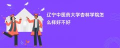 辽宁中医药大学杏林学院怎么样 好不好(评价如何)