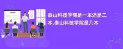 泰山科技学院是一本还是二本(是几本院校)