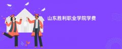 山东胜利职业学院学费多少钱一年(2026收费标准明细)