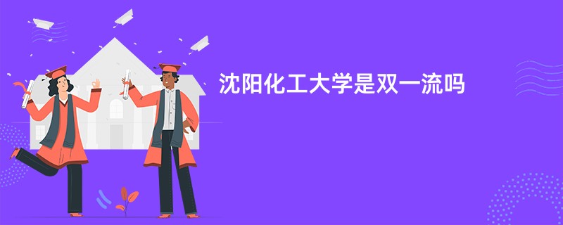 沈阳化工大学是双一流吗