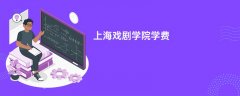 上海戏剧学院学费多少钱一年(2026收费标准明细)