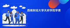 西南财经大学天府学院学费多少钱一年(2026收费标准明细)