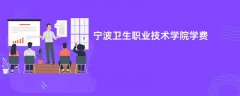 宁波卫生职业技术学院学费多少钱一年(2026收费标准明细)