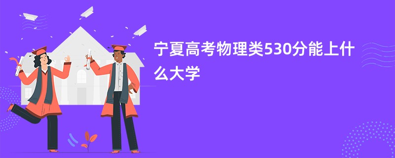 宁夏高考物理类530分能上什么大学