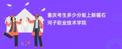 2026重庆高考多少分能上新疆石河子职业技术学院(录取分数线预测)