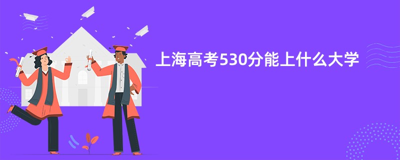 上海高考530分能上什么大学