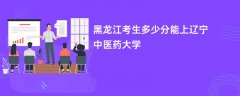 黑龙江高考多少分可以上辽宁中医药大学(2026录取分数线预测)