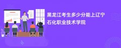 黑龙江高考多少分能上辽宁石化职业技术学院(2026录取分数线预测)