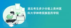 2026湖北高考多少分可以上贵州医科大学神奇民族医药学院(录取分数线预测)