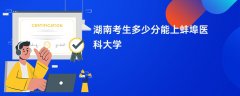2026湖南高考多少分可以上蚌埠医科大学(录取分数线预测)