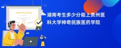 2026湖南高考多少分能上贵州医科大学神奇民族医药学院(录取分数线预测)