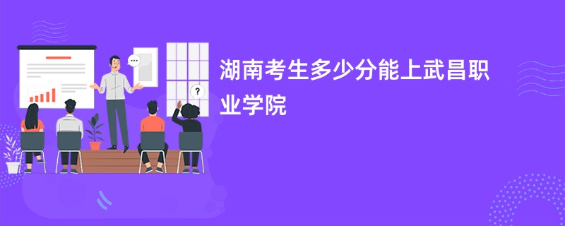 湖南考生多少分能上武昌职业学院