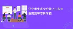 2026辽宁高考多少分可以上山东中医药高等专科学校(录取分数线预测)