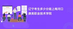 辽宁高考多少分可以上梅河口康美职业技术学院(2026录取分数线预测)