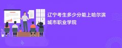 2026辽宁高考多少分能上哈尔滨城市职业学院(录取分数线预测)
